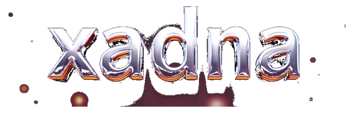 xadna logo